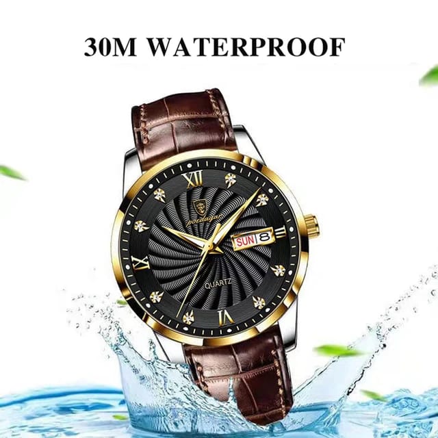 POEDAGAR 827 Top Brand Classic Quartz Watch for Men